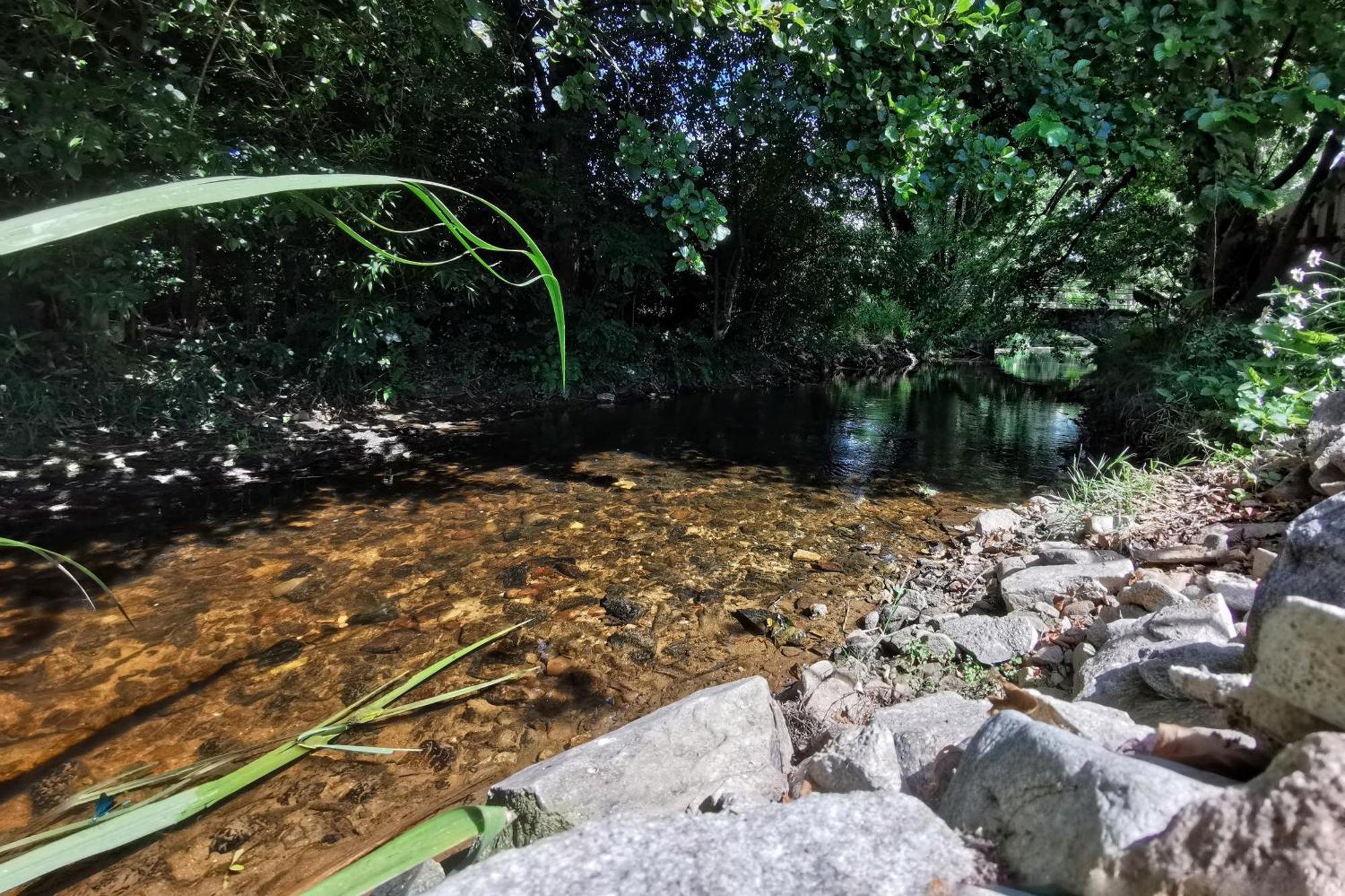 Gite Du Moulin Toucan Berneuil  Zewnętrze zdjęcie