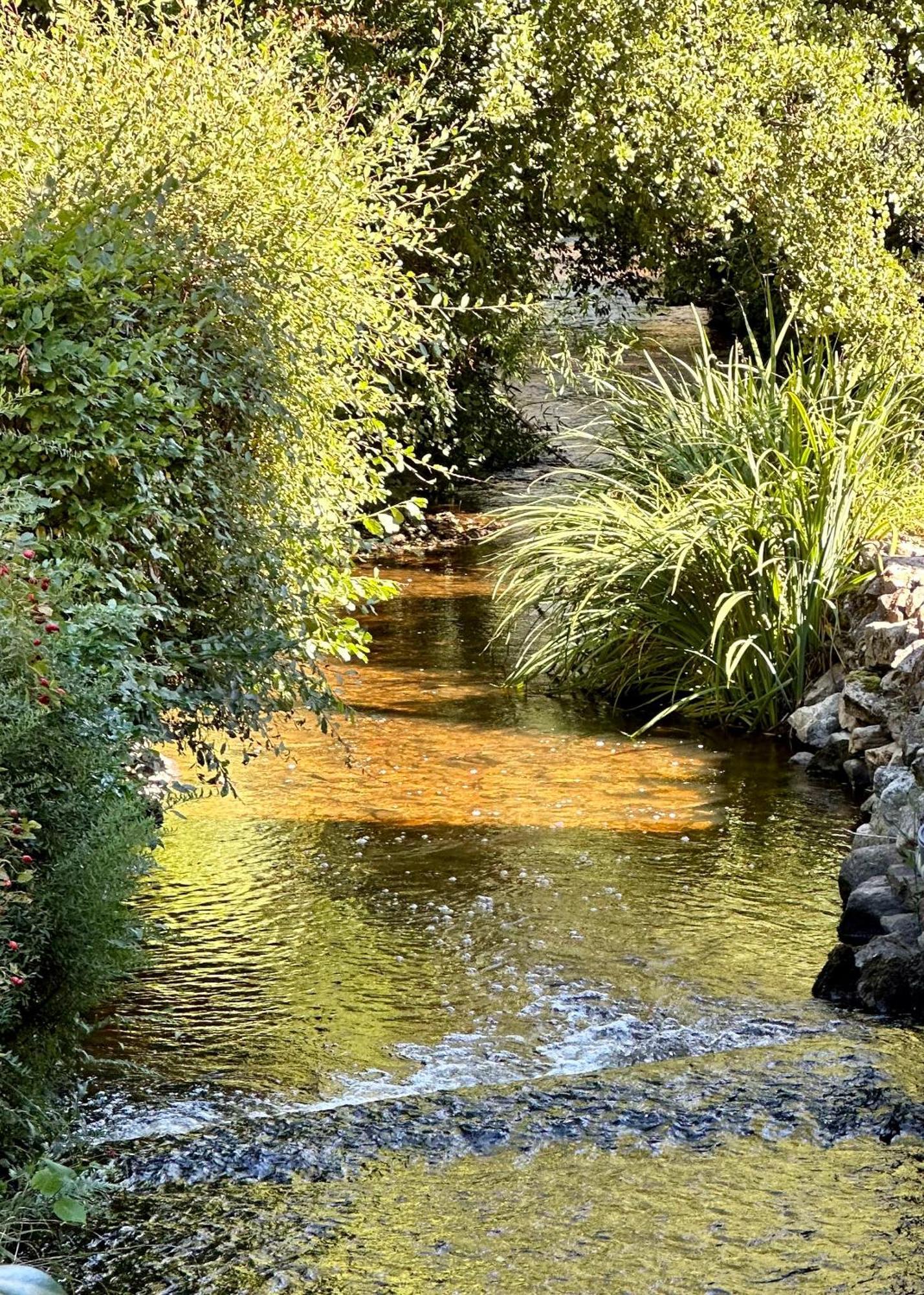 Gite Du Moulin Toucan Berneuil  Zewnętrze zdjęcie